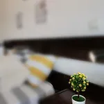 3l'studio Portimão