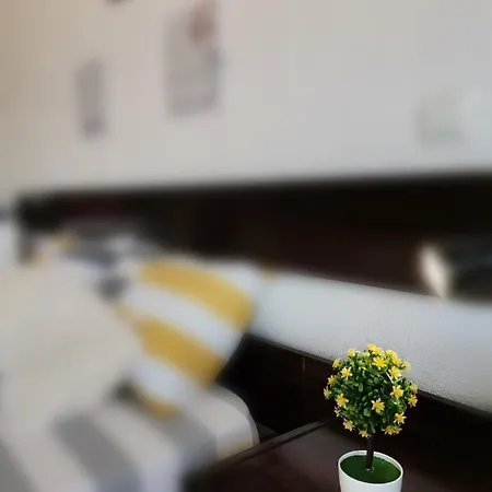3l´studio 波尔蒂芒